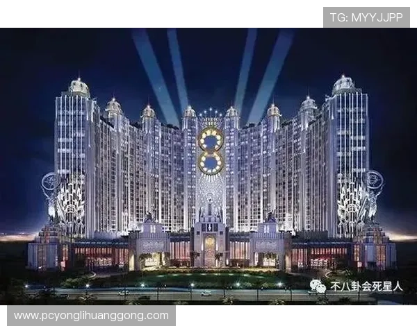 新濠国际发展有限公司的财务状况与投资前景详尽分析报告