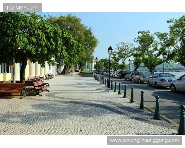 澳门百利集团全面解析：其在澳门博彩行业中的核心地位与发展战略